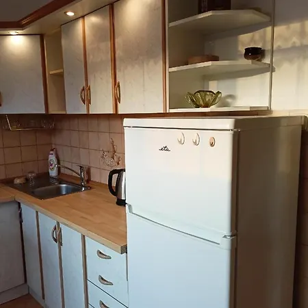 Apartment Zalesi